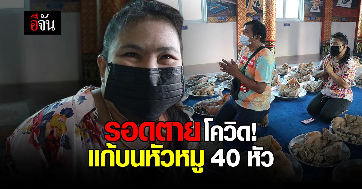 สาวรอดตายจากโควิดโคม่า แก้บนหลวงพ่อใหญ่ หัวหมู 40 หัว!