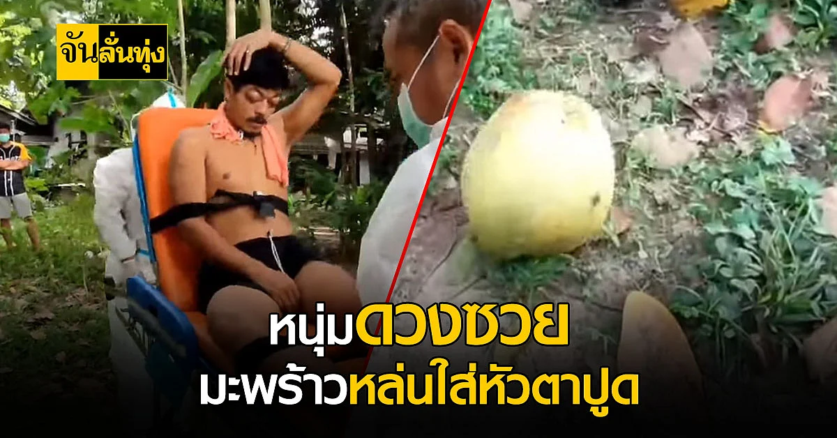 หนุ่มสตูล ล้มทั้งยืน หลังถูกมะพร้าวหนักเกือบ 2 กิโล พลัดตกใส่หัว !