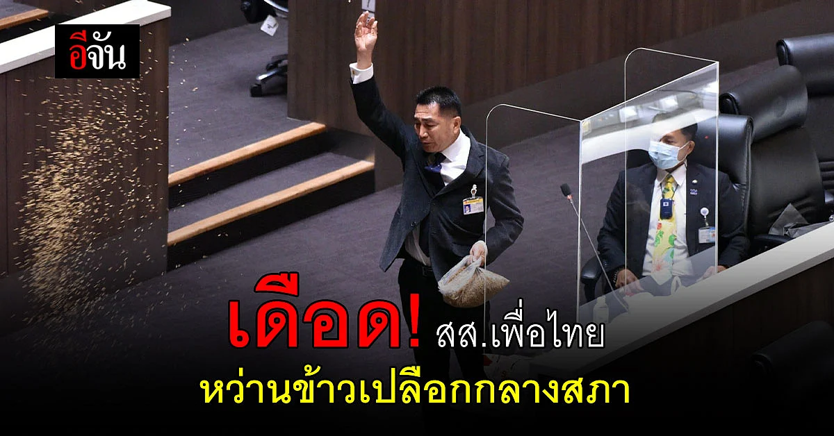 สส.เพื่อไทย หว่านข้าวเปลือก กลางสภา เหตุ ไม่มีรัฐมนตรี ตอบกระทู้ถามสด