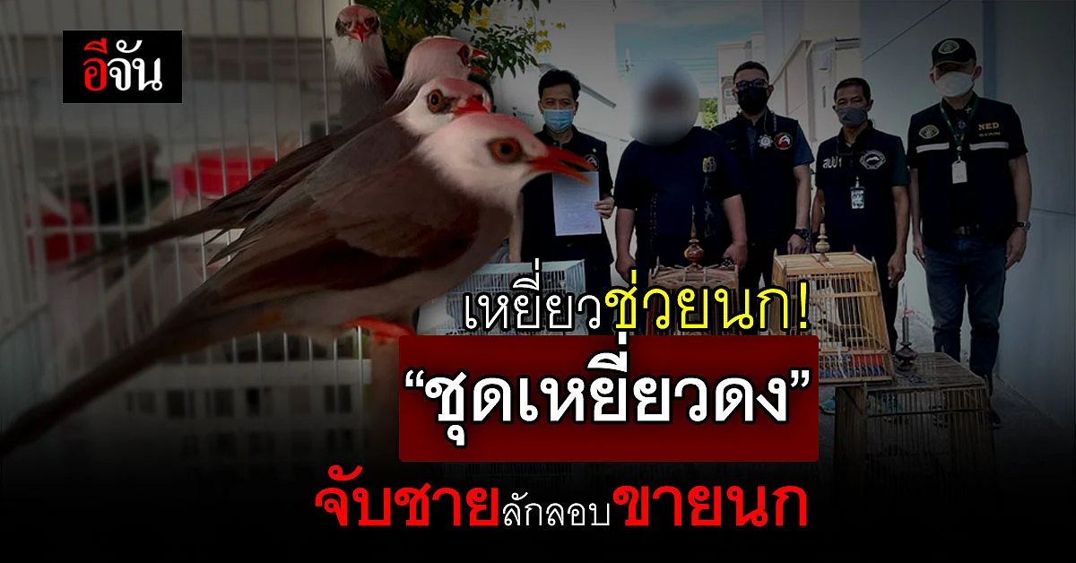 "ชุดเหยี่ยวดง" จับกุม ชาย ลักลอบขาย นก รวม 27 ตัว