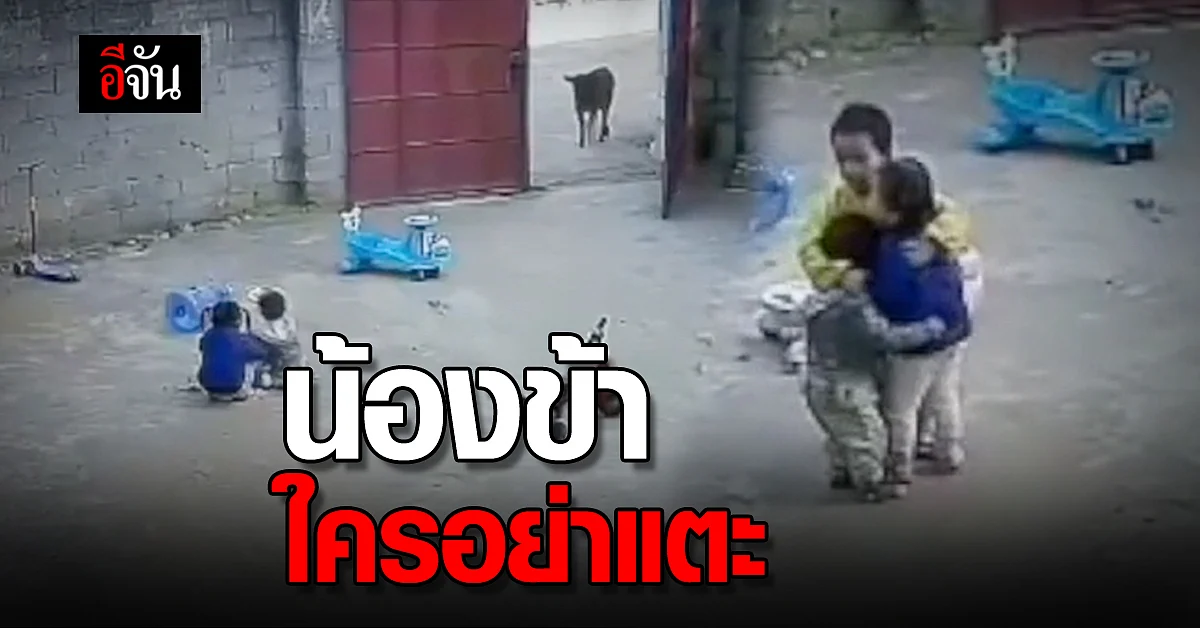 "น้องข้าใครอย่าแตะ" พี่ชาย 6 ขวบ ควงไม้ ปกป้องน้องสาว