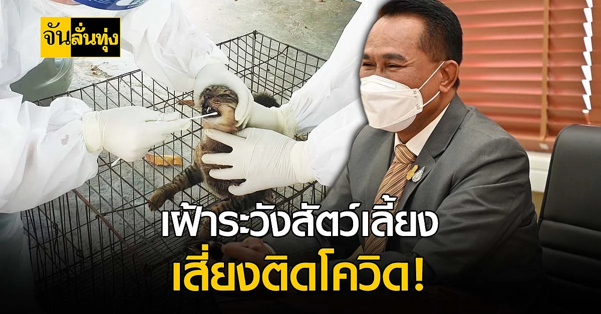 ปศุสัตว์ เตือน เฝ้าระวังสัตว์เลี้ยง เสี่ยงโรคโควิด-19!