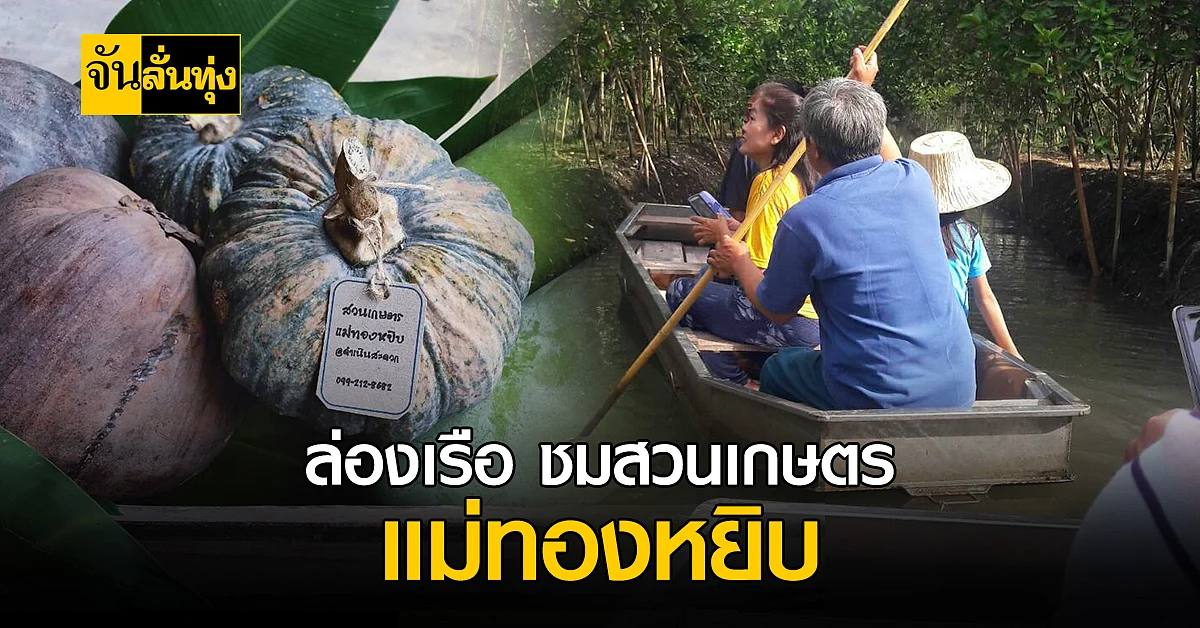 ล่องเรือเที่ยว ใต้เงาไม้ สวนเกษตรแม่ทองหยิบ ของดี ดำเนินสะดวก