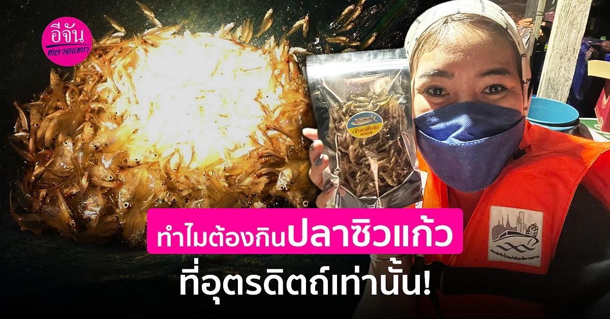 ของขายดี ต้องบอกความเด็ด ปลาซิวเเก้ว บ้านท่าปลา หนึ่งปีมีครั้งเดียว