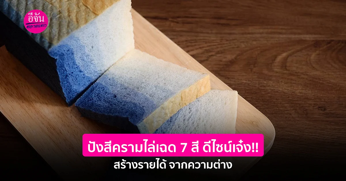ปังสีครามไล่เฉด 7 สี ดีไซน์สุดคิ้วท์จากสถาปนิก สร้างรายได้ จากความต่าง