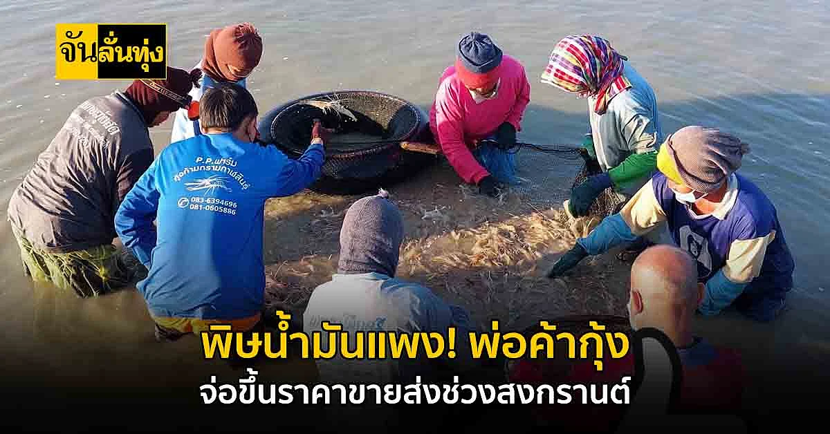 กาฬสินธุ์ พ่อค้ากุ้งโอด! น้ำมันแพง จ่อขึ้นราคาขายส่งช่วงสงกรานต์