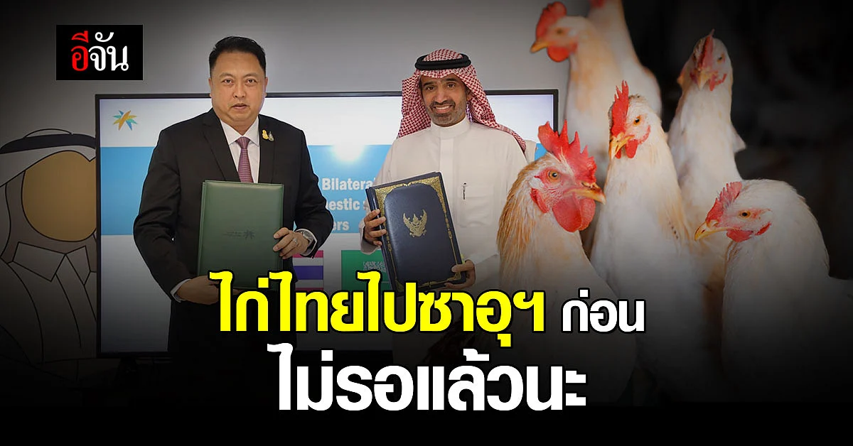 ไก่ ล็อตแรกไปยัง ซาอุดิอาระเบีย เป็นครั้งแรกในรอบ 18 ปี