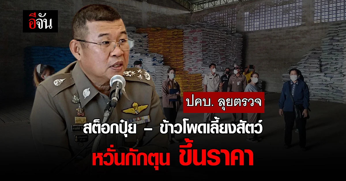 ปคบ.ลุยตรวจสต็อกปุ๋ย – ข้าวโพดสัตว์ ทั่วประเทศ หวั่น กักตุนปั่นราคาแพง