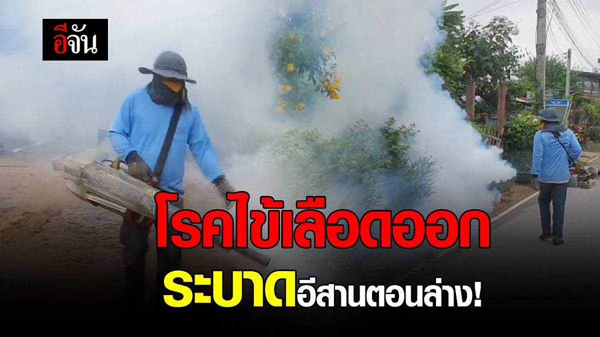 สำนักงานป้องกันควบคุมโรค เผย โรคไข้เลือดออก แพร่ระบาด อีสานตอนล่าง