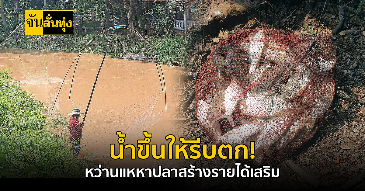 พะเยา ฝนตกหนัก-น้ำขึ้น ชาวบ้านแห่กัน ออกหาปลา สร้างรายได้นับ 1,000 บาท