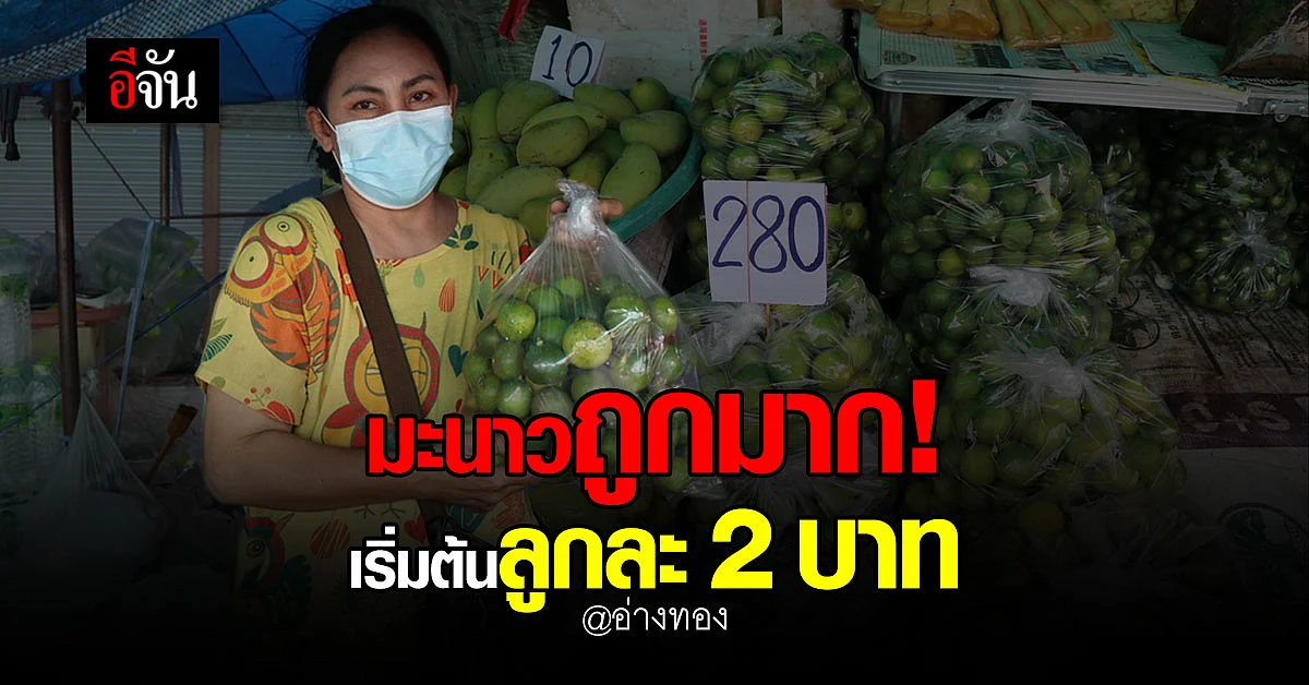 ราคามะนาว ที่ อ่างทอง เริ่มต้น ลูกละ 2 บาท มีจำหน่ายทั้งปลีก - ส่ง