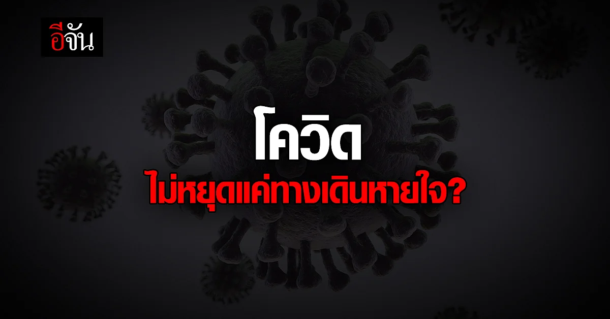หมอธีระ เผยผลวิจัย โควิด ไม่หยุดแค่ทางเดินหายใจ แต่กระจายทั่วร่างกาย