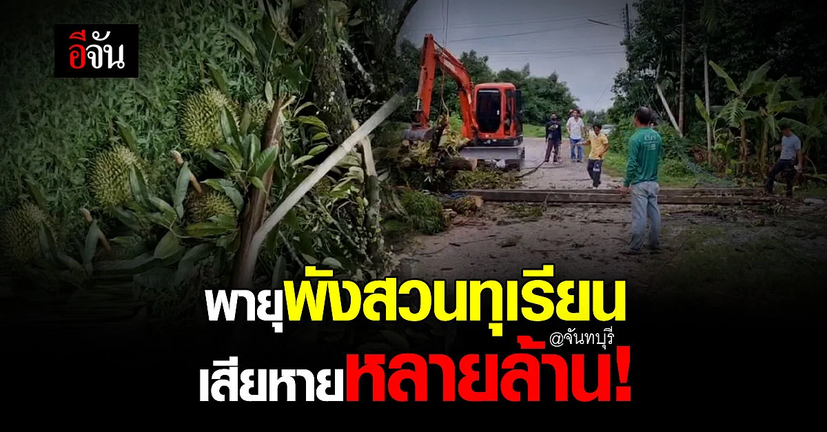 สวนทุเรียน - จันทบุรี เสียหายหนัก หลัง พายุฤดูร้อน กระหน่ำฝนลงมา!