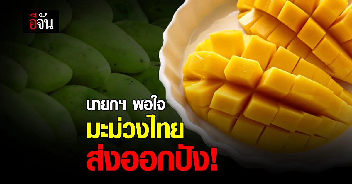 นายกฯ พอใจมะม่วงไทย ส่งออกอันดับ 7 ของโลก และ อันดับ 2 ในอาเซียน