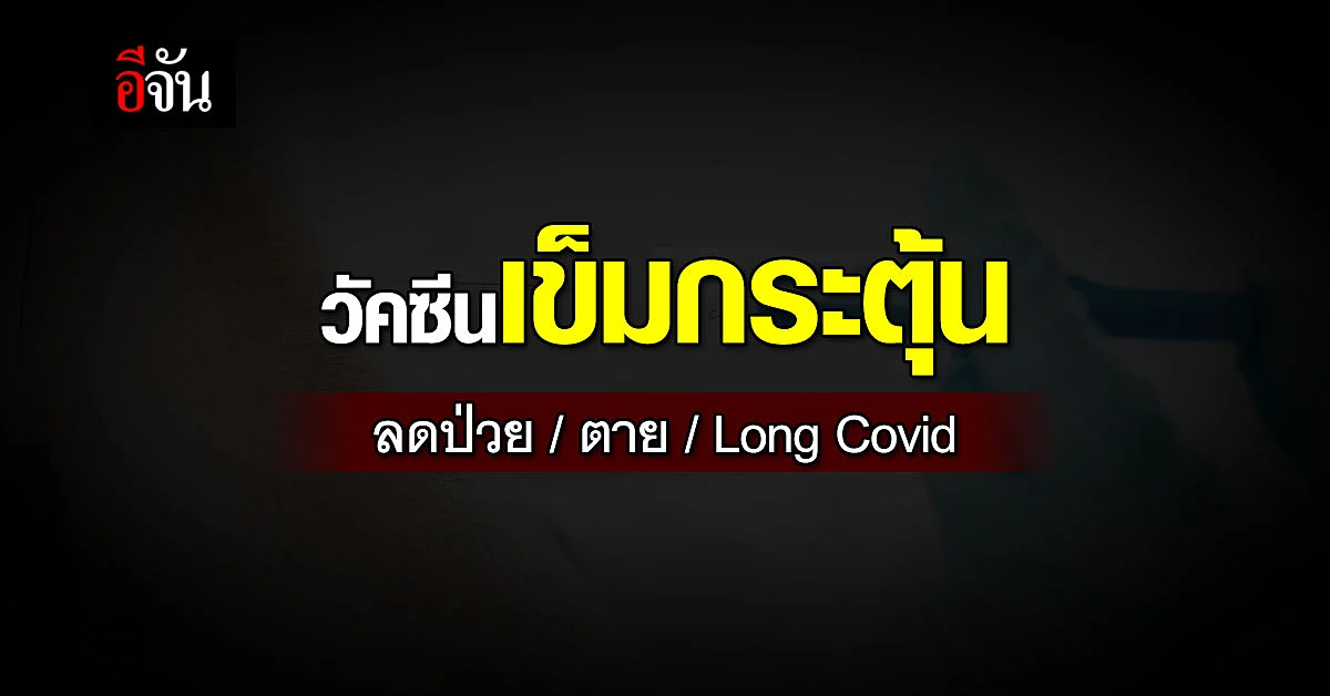 สถาบันวัคซีนแห่งชาติ ย้ำ วัคซีนเข็มกระตุ้น ลดป่วยหนัก-ตายจากโควิด