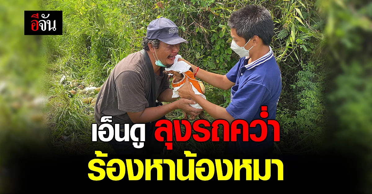 อาสาฯ ช่วย น้องหมา ขึ้นจากน้ำ หลัง คุณลุงเจ้าของ หักรถตกข้างทาง