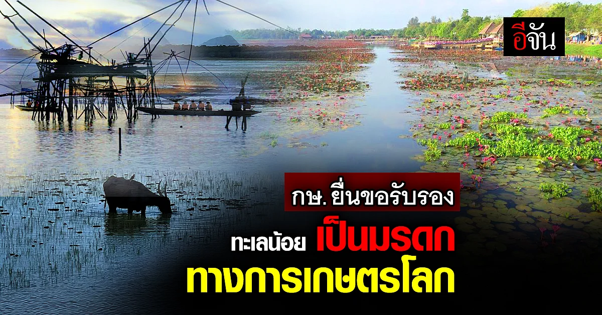 กษ. ยื่น FAO ขอรับรอง ทะเลน้อย จ.พัทลุง เป็น มรดกทางการเกษตรโลก