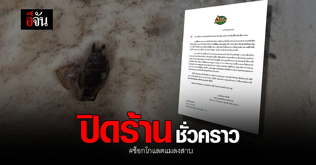 คาเฟ่เจ้าดัง ขอโทษลูกค้า ปมช็อกโกแลตแมลงสาบ