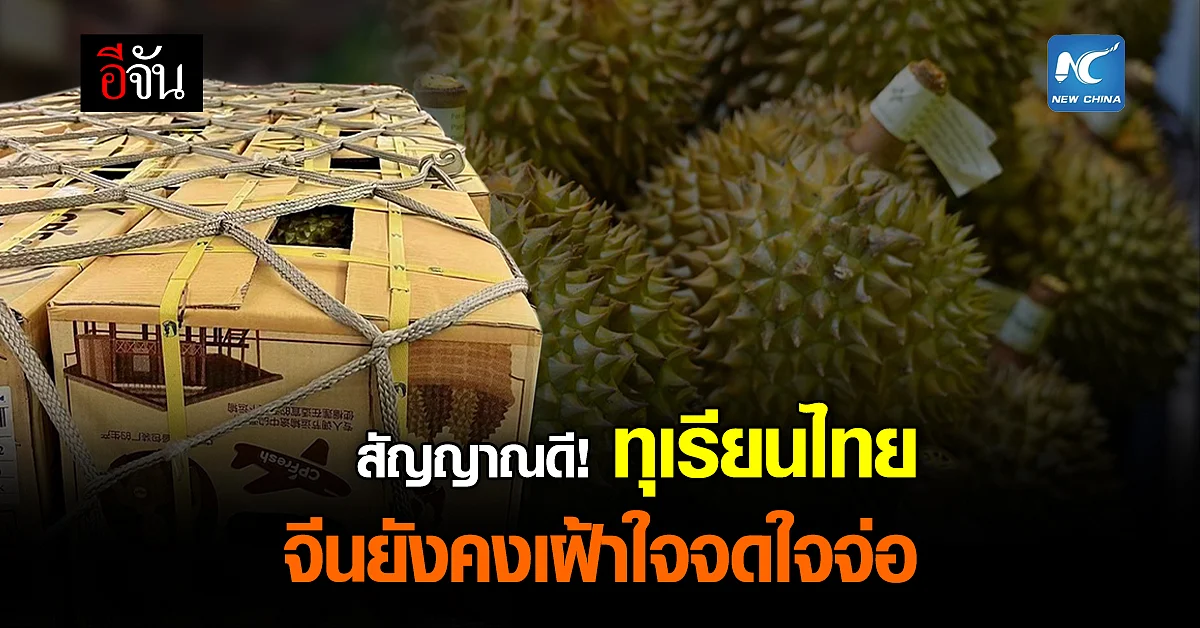ทุเรียนไทย เข้าสู่ตลาดจีนช้า แต่ชาวจีน ยังเฝ้ารออย่าง ใจจดใจจ่อ