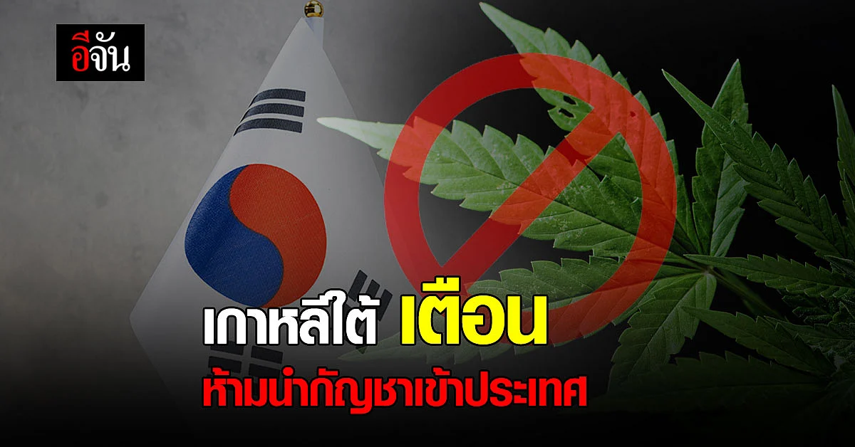 รัฐบาล เตือน กัญชา ยังผิดกฎหมายในบางประเทศ แนะศึกษากฎหมายก่อนเดินทาง