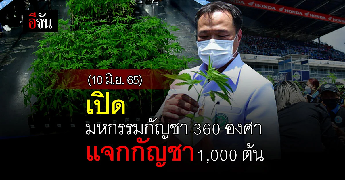 อนุทิน เปิดมหกรรมกัญชา พร้อมมอบต้นกล้ากัญชา 1,000 ต้น ให้ประชาชน