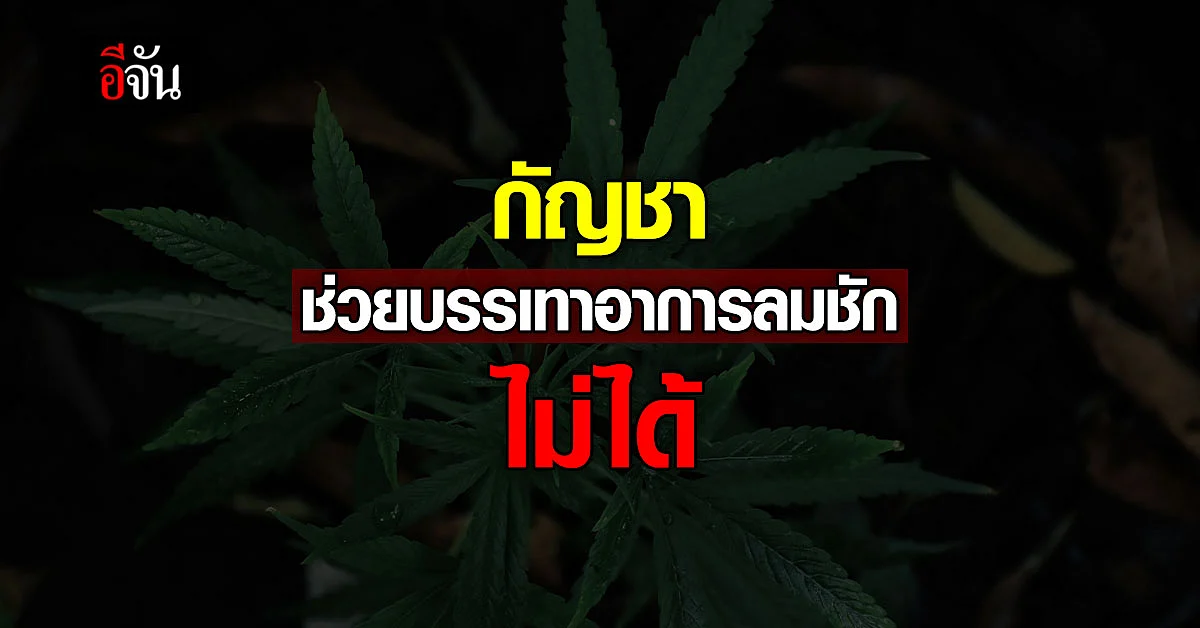 ไม่ชัวร์อย่าแชร์!!! กัญชา ช่วยบรรเทาอาการ ลมชักเฉียบพลัน ไม่ได้