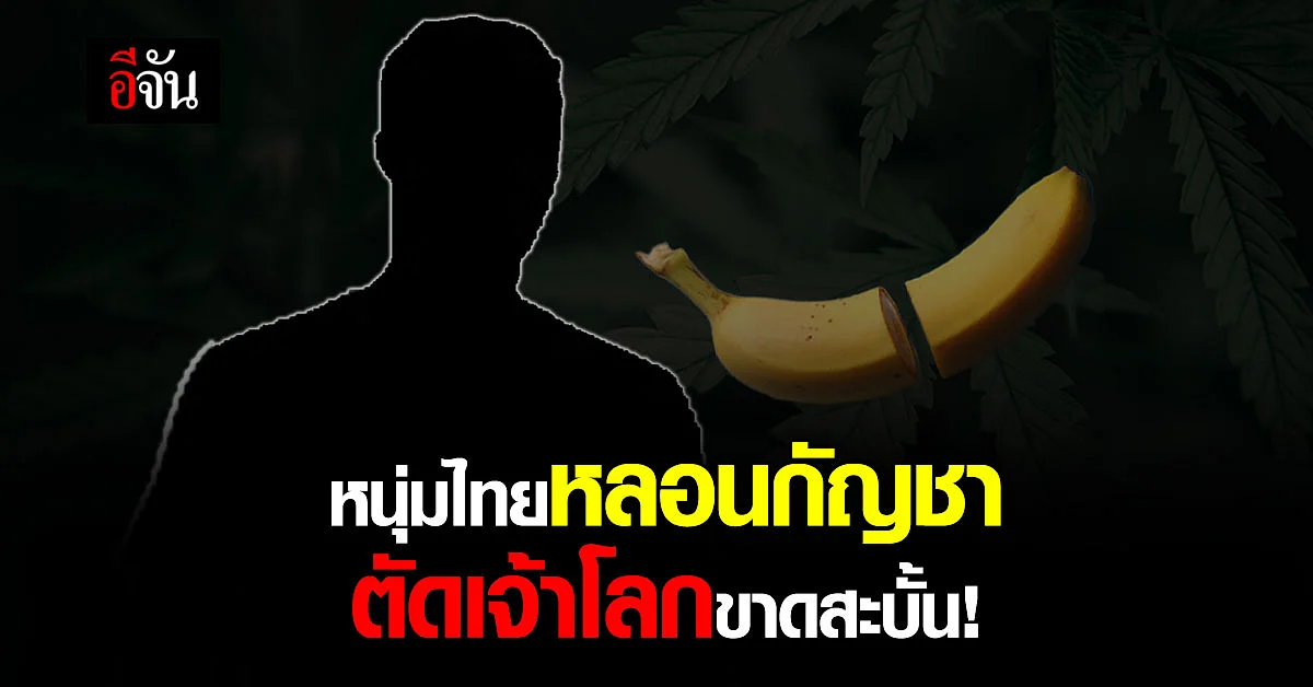 อธิบดีกรมสุขภาพจิตยอมรับ มีเคสชายหลอนกัญาตัดอวัยวะเพศตัวเอง