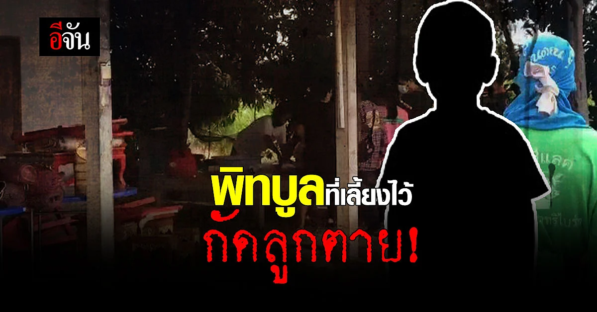 สะเทือนใจ พิทบูล สุนัขที่พ่อแม่เลี้ยง ขย้ำหน้าลูกเละ หนังหัวถลอกตาย!