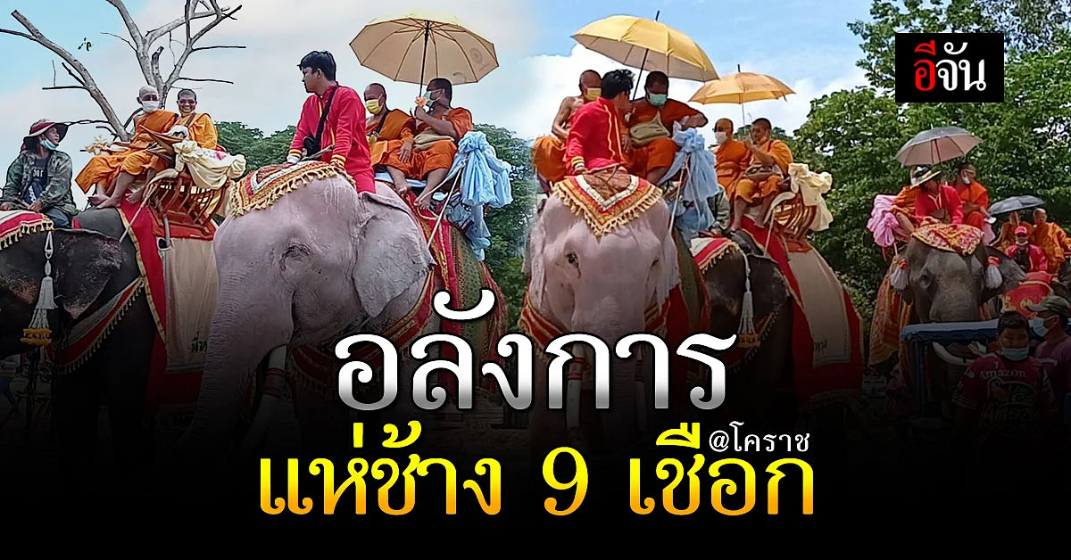 พิมาย - โคราช จัดพิธีแห่ช้าง 9 เชือก ฉลองอายุ พระครูวิลาสปัญญาโชติ