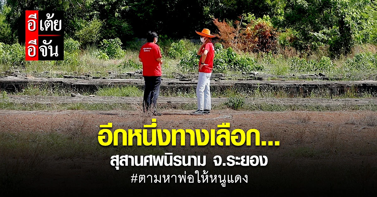 ภารกิจหนูแดงตามหาพ่อ อีกทางเลือกที่อาจเป็นไปได้...สุสานศพนิรนาม