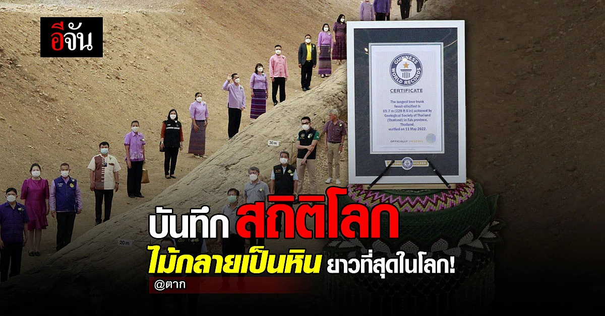 ไม้กลายเป็นหิน - ตาก ยาวที่สุดในโลก บันทึกลงสถิติโลกแล้ว!