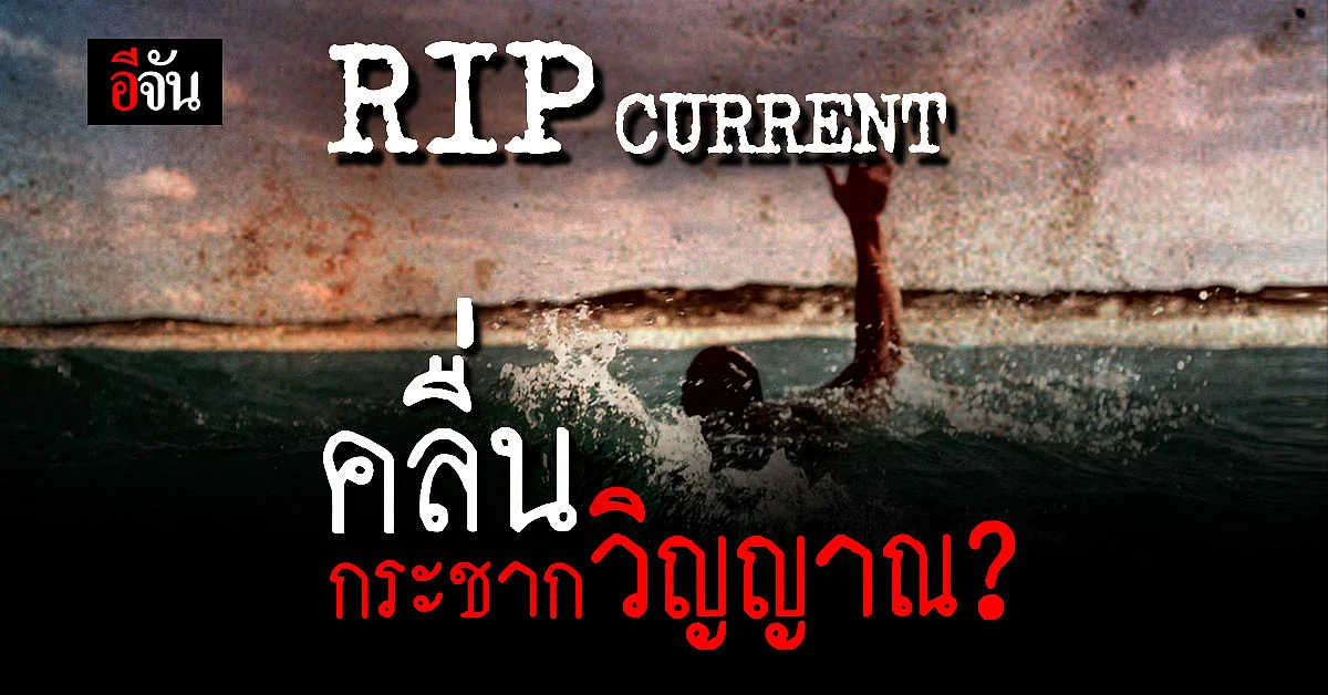 ทำความเข้าใจ คลื่นดูด ธงสัญญาณ ริมหาด รู้ไว้เลยก่อนคิดลงเล่นน้ำทะเล