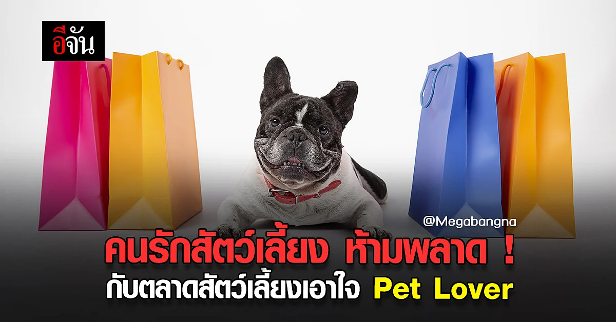 ปักหมุด รอเลยกับ คนรักสัตว์เลี้ยง ในงาน PET MARKET เมกาบางนา