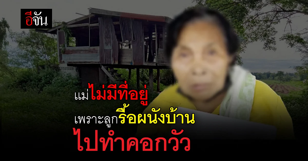 เเม่เเจ้งความลูกชาย หลังรื้อผนังบ้าน ไปทำคอกวัว เหลือเเต่เสา ?