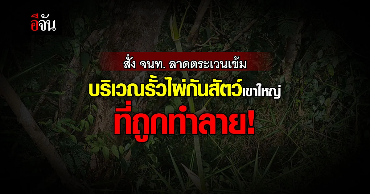 หัวหน้าอุทยานฯ สั่ง จนท. ลาดตระเวนเข้ม บริเวณรั้วไผ่กันสัตว์เขาใหญ่