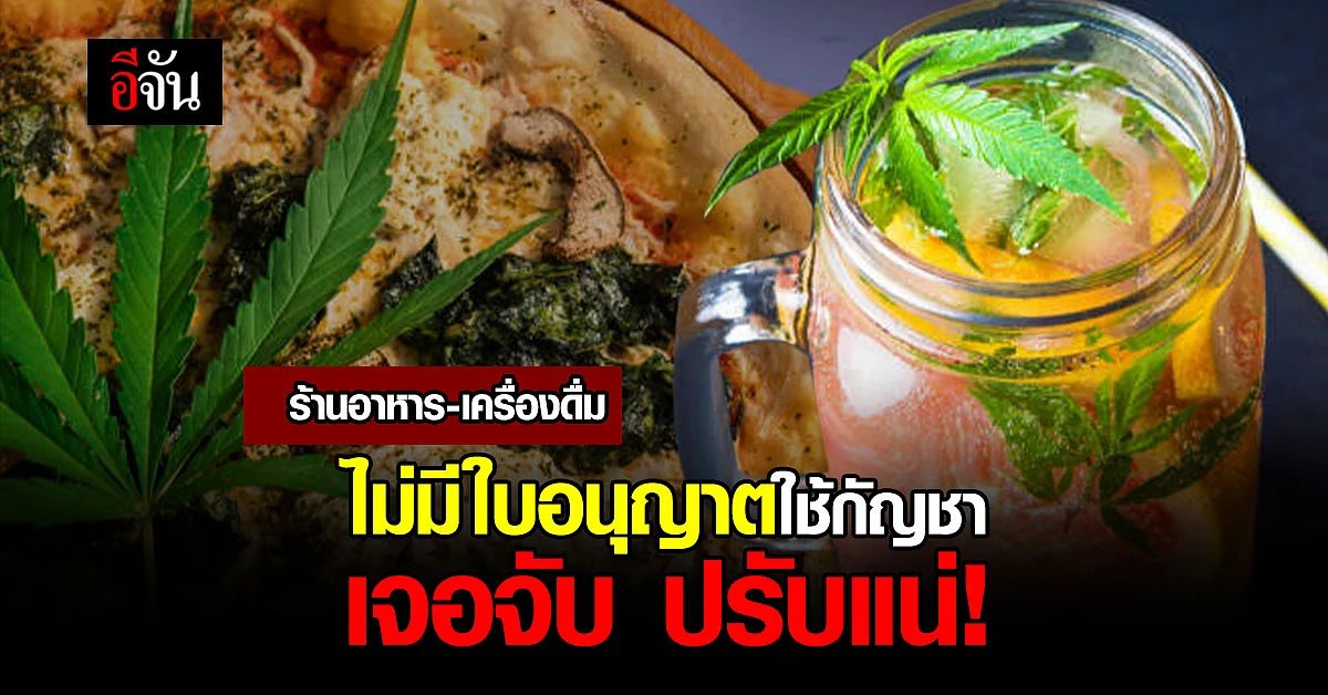 ร้านอาหาร - ร้านเครื่องดื่ม ไม่มีใบอนุญาตใช้ กัญชา เจอจับ ปรับแน่!