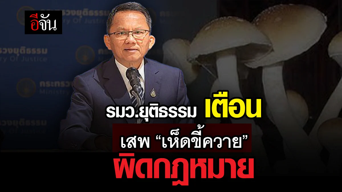 รมว.ยุติธรรม เผย เห็ดขี้ควาย ต้าน โรคซึมเศร้า แต่ยัง ผิดกฎหมาย