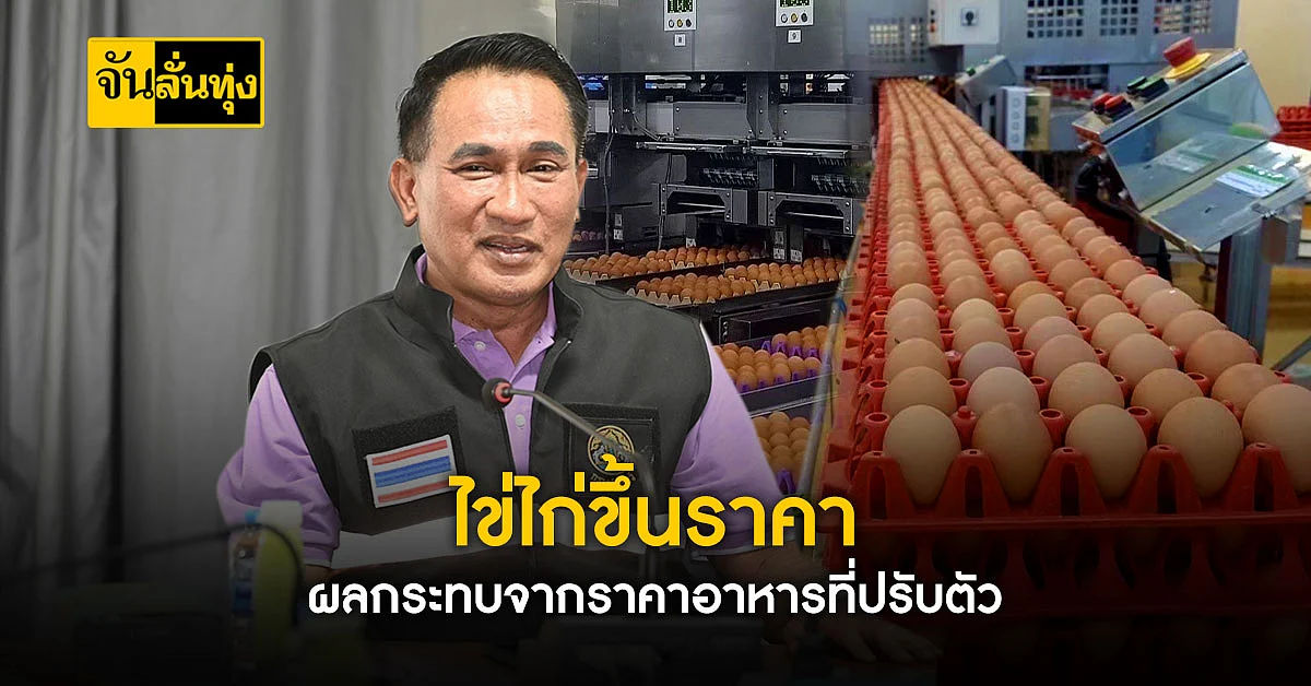 ไข่ไก่แพงสุดในรอบปี ผลกระทบจากราคาอาหารที่ปรับตัวรายวัน