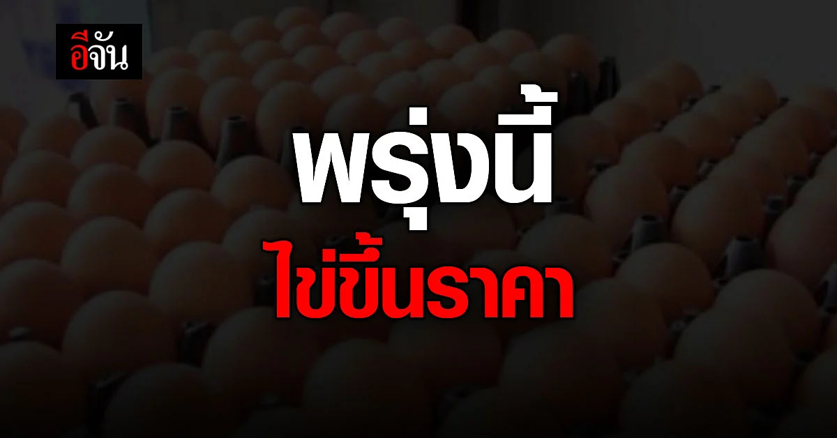 เครือข่ายสหกรณ์ผู้เลี้ยงไก่ไข่ แจ้งปรับขึ้น ราคาไข่ 10 สตางค์