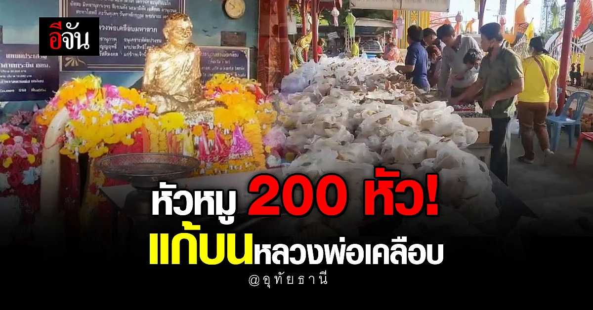 หัวหมู 200 หัว แก้บนหลวงพ่อเคลือบ เทพเจ้าแห่งลุ่มน้ำสะแกกรัง