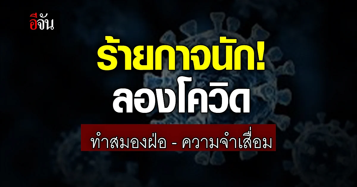 นพ.ธีระ เผย ลองโควิด ส่งผลภาวะสมองฝ่อ-ความจำเสื่อม