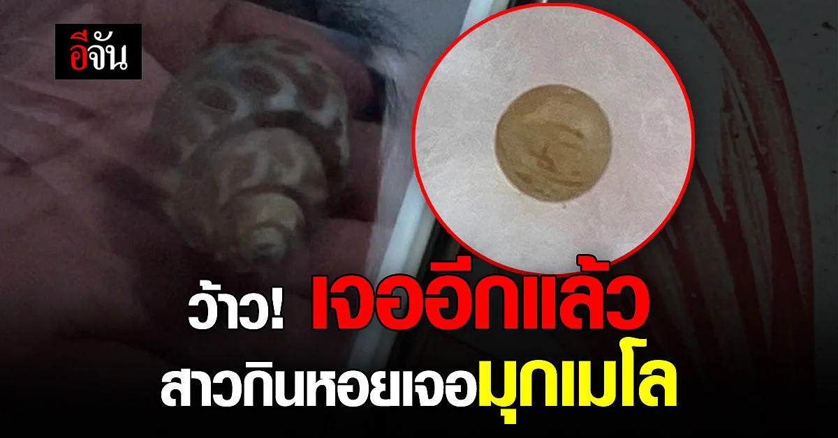 หอยหวานพบวัตถุคล้าย “มุกเมโล” อีกแล้วจ้า