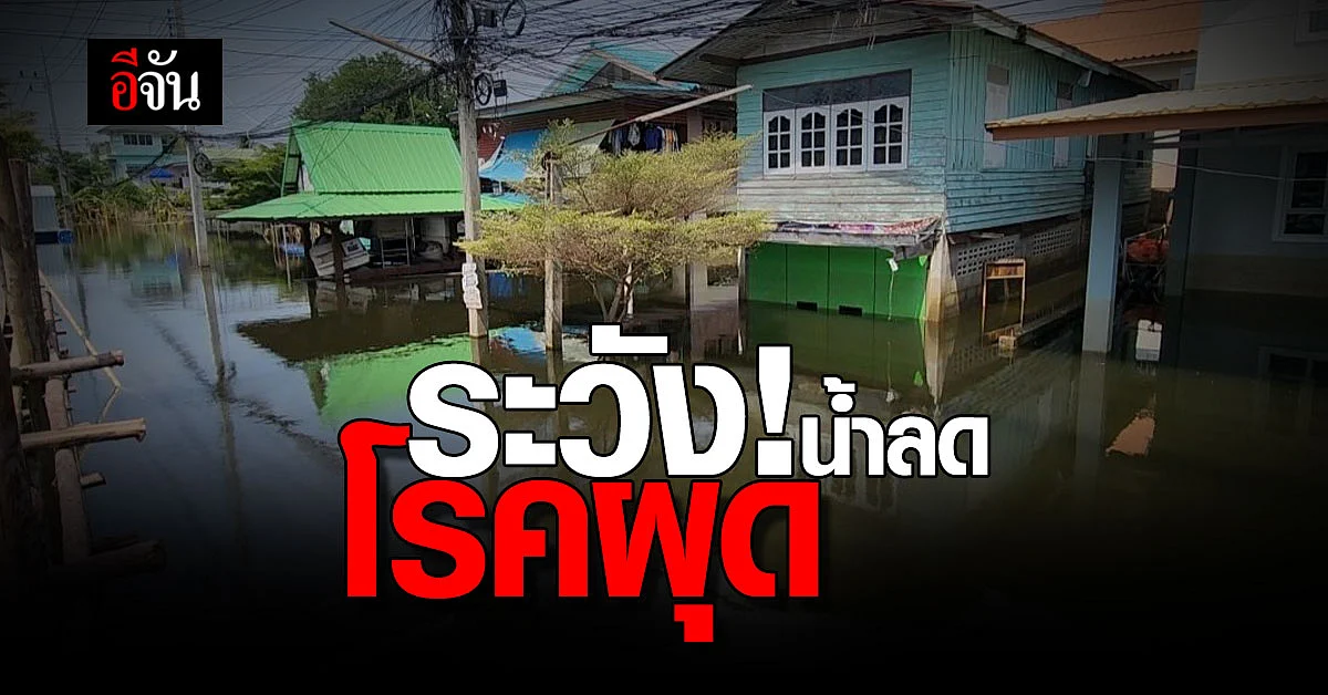 น้ำท่วมเริ่มลด สธ. เตือน ก่อนกลับเข้าบ้าน ระวัง โรคติดต่อ สัตว์มีพิษ