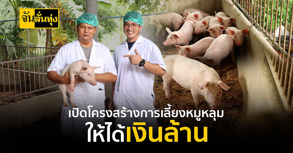 เปิดเทคนิคและโครงสร้างคอก หมูหลุม เลี้ยงง่ายทำง่าย ต้นทุนไม่สูง