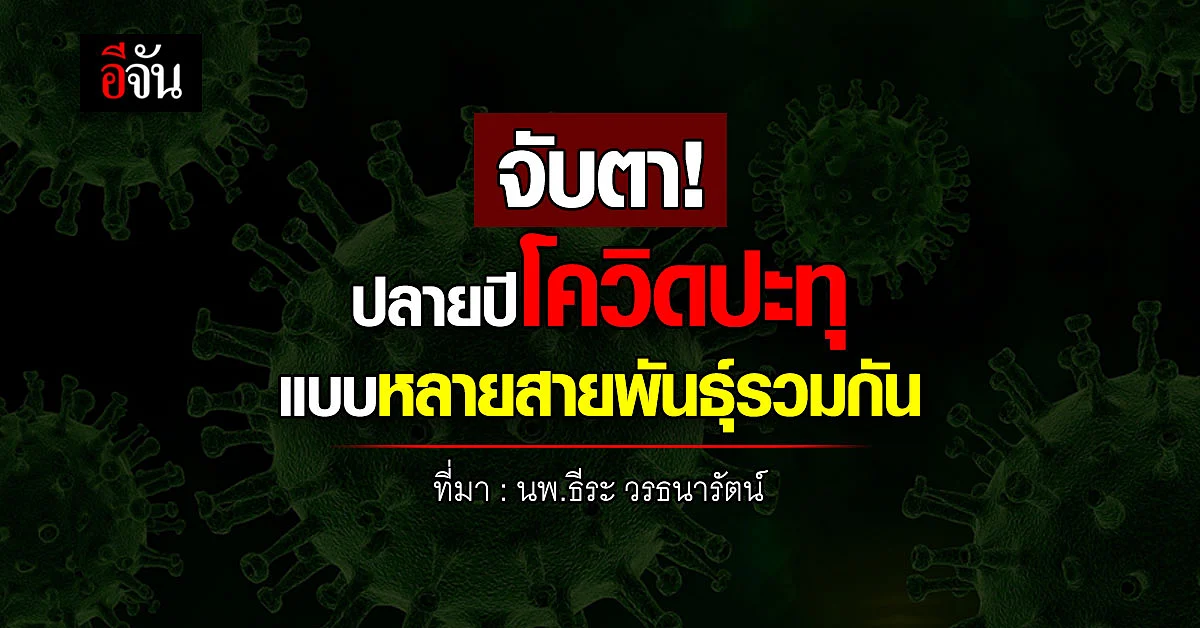 หมอธีระ ชี้ ปลายปีโควิดปะทุ แบบหลายสายพันธุ์รวมกัน