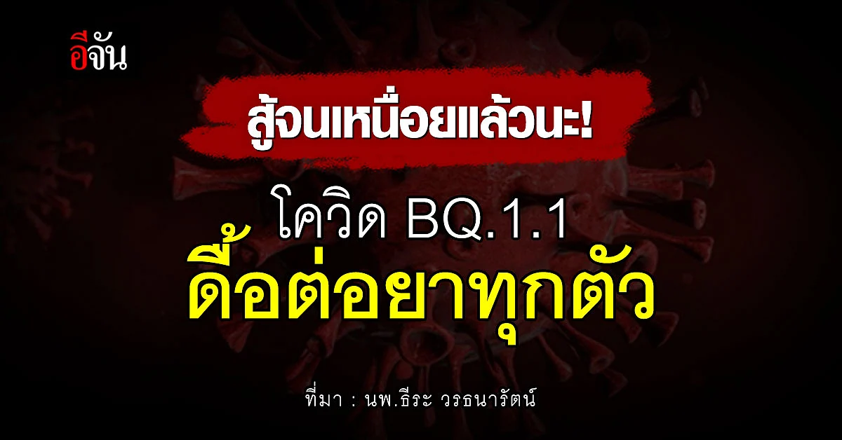 นพ.ธีระ ชี้ โควิดสายพันธุ์ BQ.1.1 ดื้อต่อยาแอนติบอดี้ทุกตัว