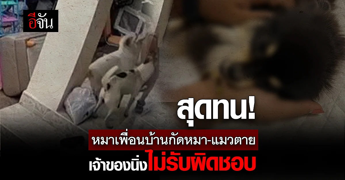 เจ้าของบ้านสุดทน หมาบ้านตรงข้ามปีนรั้วเข้ามากัดสัตว์เลี้ยง ตายคาบ้าน