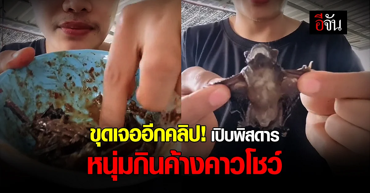 อย่าหากิน หนุ่มโพสต์คลิปเปิบพิสดาร กินค้างคาวโชว์