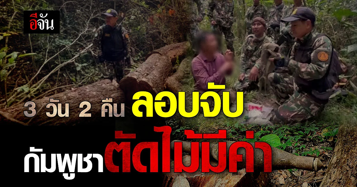 กัมพูชาลอบตัดไม้มีค่า พกระเบิดป้องกันตัว จนท.จับ 1 ราย