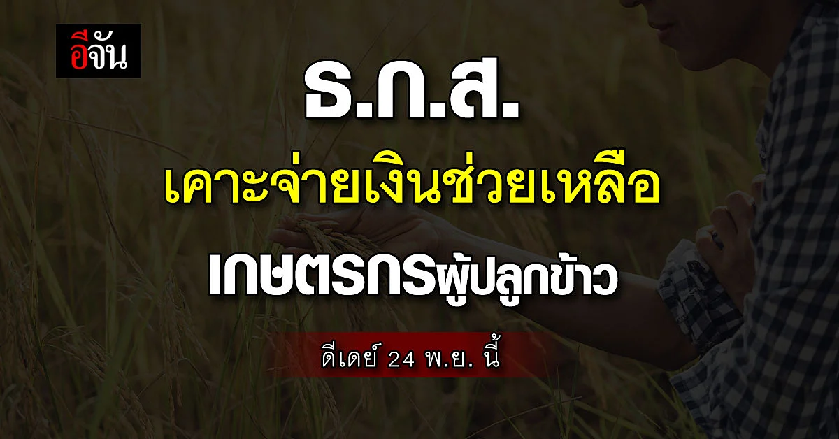 บอร์ด ธ.ก.ส. เคาะจ่ายเงินช่วยเหลือเกษตรกรผู้ปลูกข้าว ลุยอัดฉีดไร่ละพัน